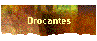 Brocantes