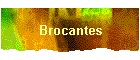 Brocantes