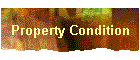 Property Condition