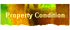 Property Condition